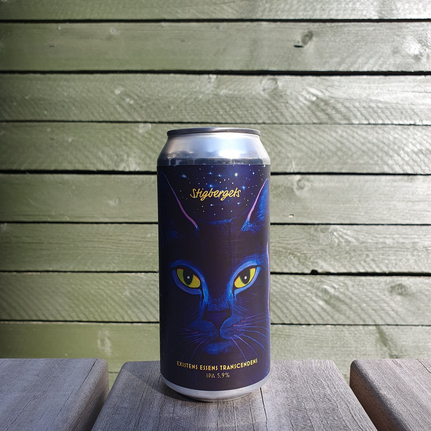 Existens Essens Transcendens (IPA)