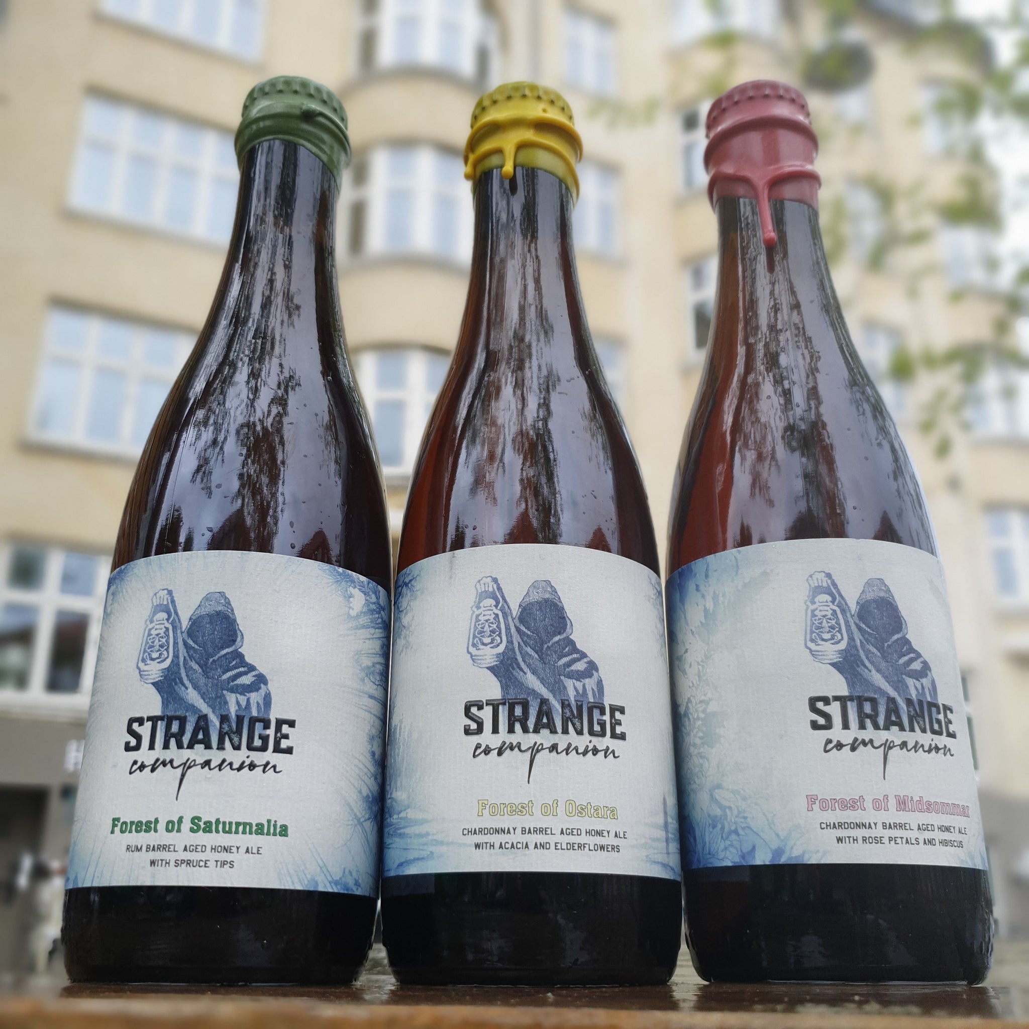 Strange Companion Bundle