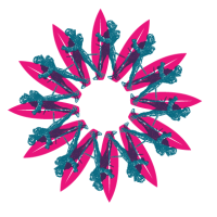 Cuvée Mistral 2025 (Wild Ale) - 33cl