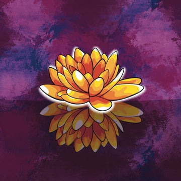 Darker Flower (Baltic Porter)